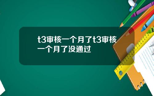 t3审核一个月了t3审核一个月了没通过