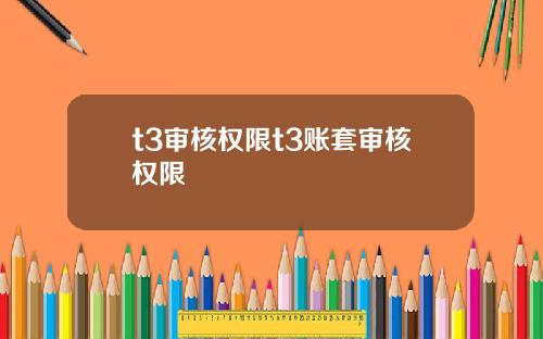 t3审核权限t3账套审核权限