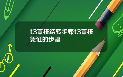 t3审核结转步骤t3审核凭证的步骤