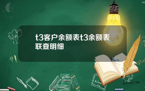 t3客户余额表t3余额表联查明细