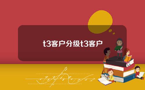 t3客户分级t3客户