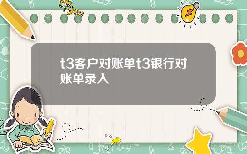 t3客户对账单t3银行对账单录入