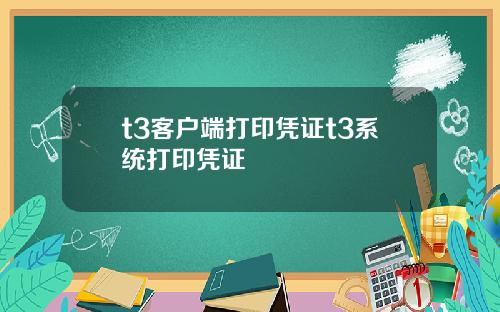 t3客户端打印凭证t3系统打印凭证