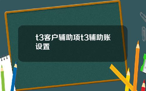 t3客户辅助项t3辅助账设置