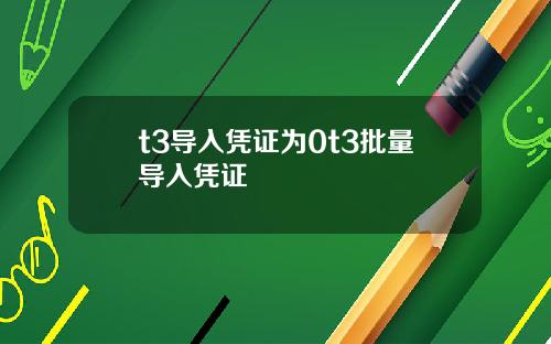 t3导入凭证为0t3批量导入凭证