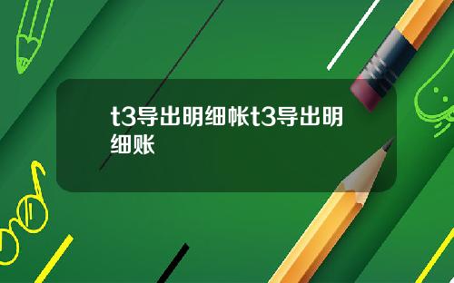 t3导出明细帐t3导出明细账