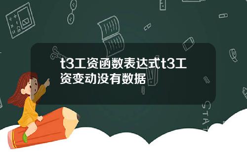 t3工资函数表达式t3工资变动没有数据