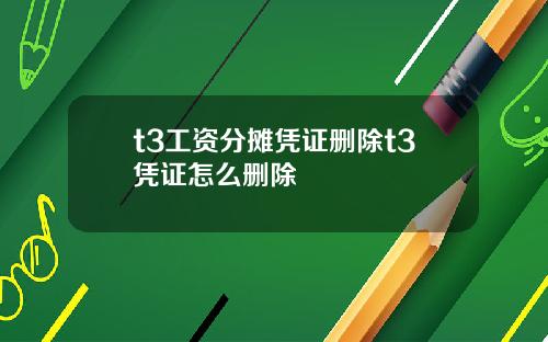 t3工资分摊凭证删除t3凭证怎么删除