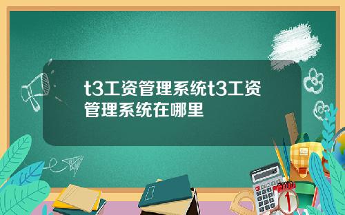 t3工资管理系统t3工资管理系统在哪里