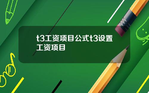 t3工资项目公式t3设置工资项目