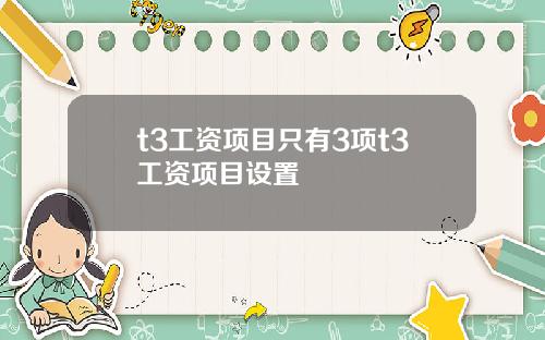 t3工资项目只有3项t3工资项目设置