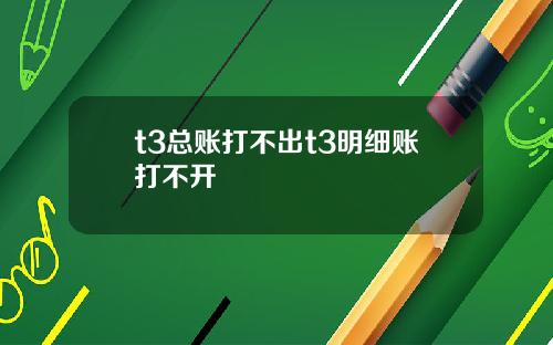 t3总账打不出t3明细账打不开