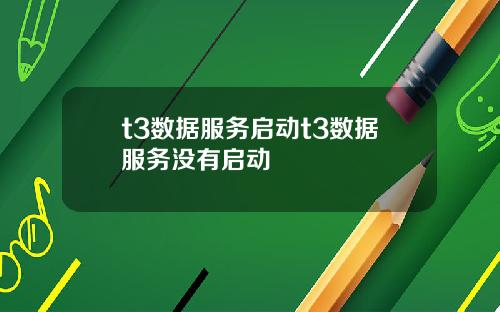 t3数据服务启动t3数据服务没有启动