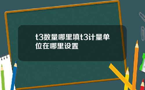 t3数量哪里填t3计量单位在哪里设置
