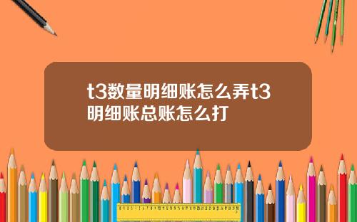 t3数量明细账怎么弄t3明细账总账怎么打