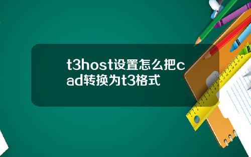 t3host设置怎么把cad转换为t3格式