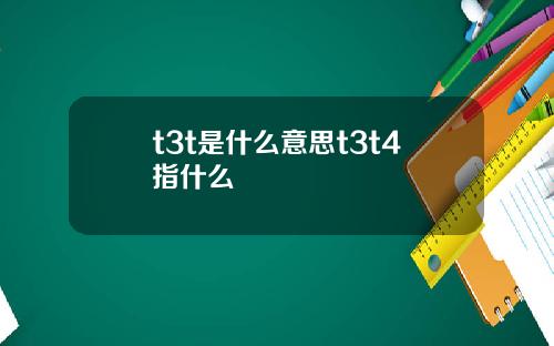 t3t是什么意思t3t4指什么