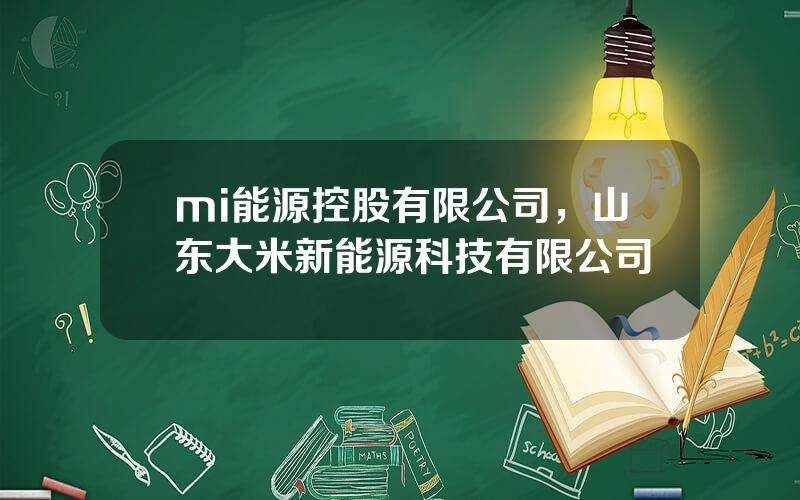 mi能源控股有限公司，山东大米新能源科技有限公司