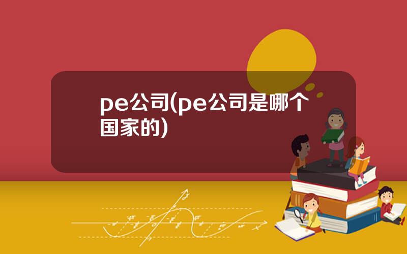 pe公司(pe公司是哪个国家的)