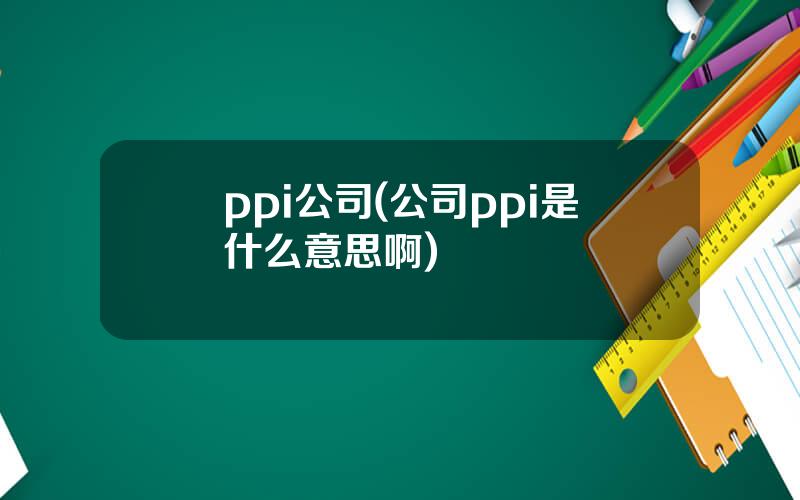 ppi公司(公司ppi是什么意思啊)