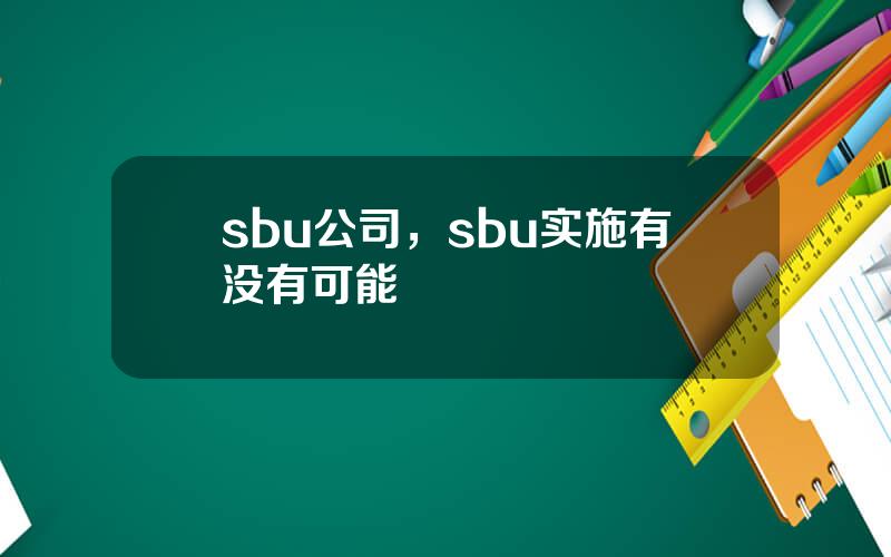 sbu公司，sbu实施有没有可能