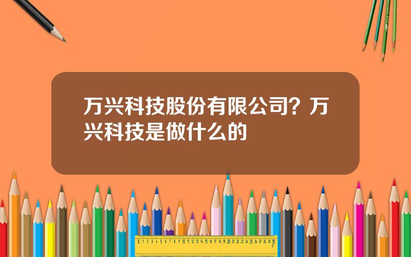 万兴科技股份有限公司？万兴科技是做什么的