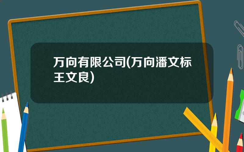 万向有限公司(万向潘文标王文良)