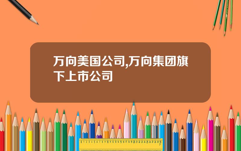 万向美国公司,万向集团旗下上市公司