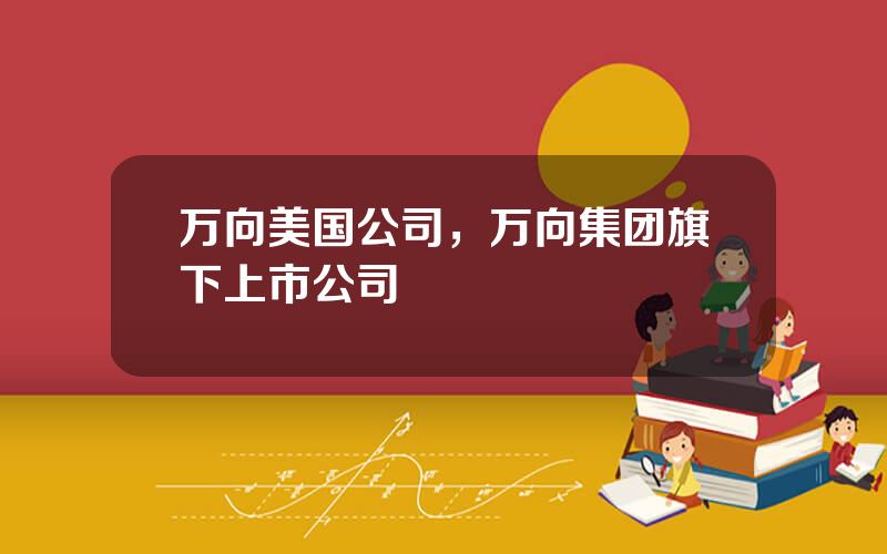 万向美国公司，万向集团旗下上市公司