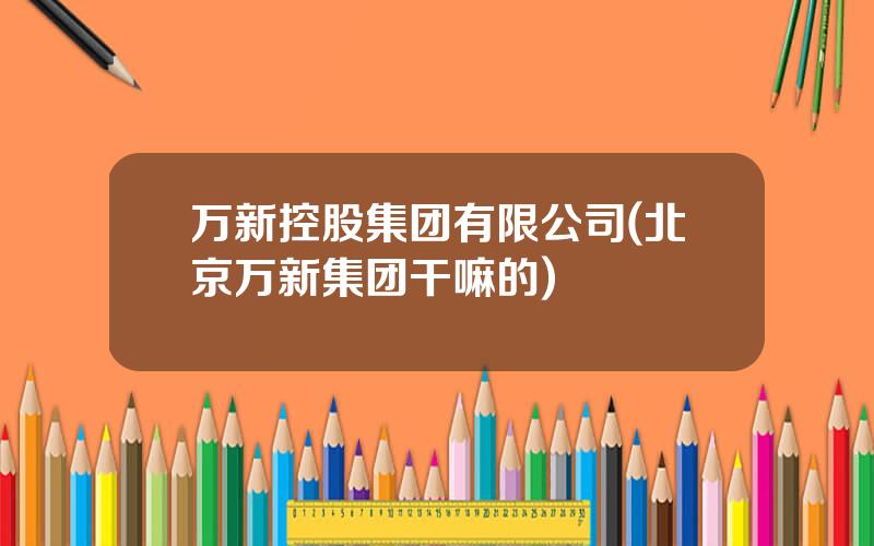 万新控股集团有限公司(北京万新集团干嘛的)