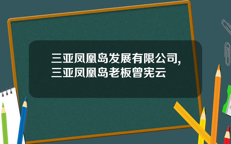 三亚凤凰岛发展有限公司,三亚凤凰岛老板曾宪云