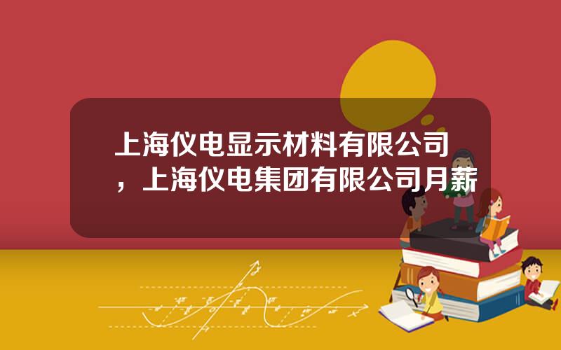 上海仪电显示材料有限公司，上海仪电集团有限公司月薪