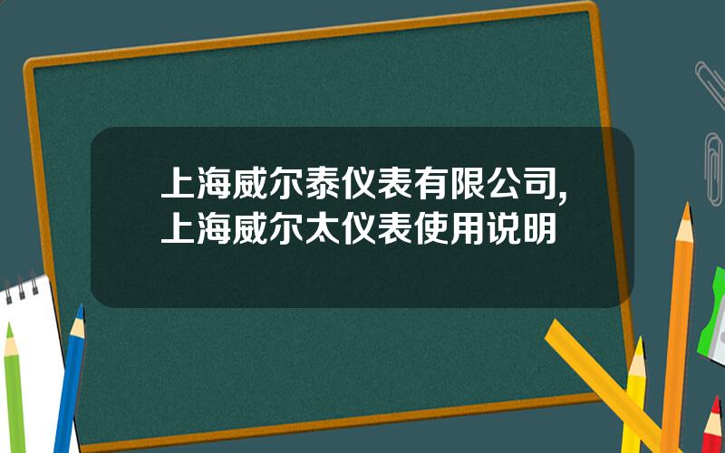 上海威尔泰仪表有限公司,上海威尔太仪表使用说明