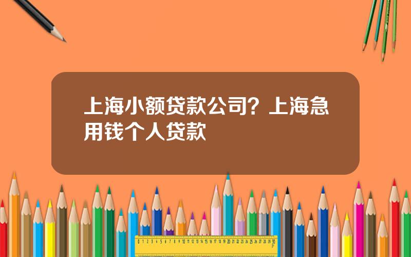 上海小额贷款公司？上海急用钱个人贷款
