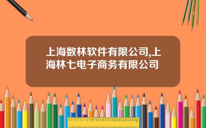 上海数林软件有限公司,上海林七电子商务有限公司