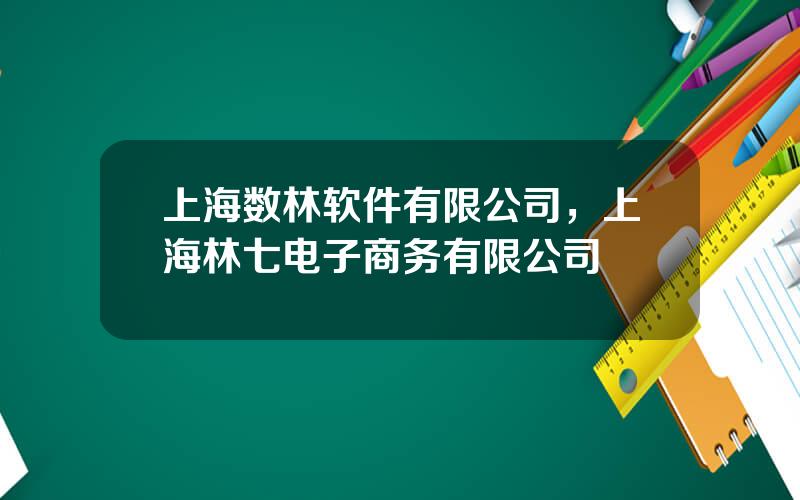上海数林软件有限公司，上海林七电子商务有限公司