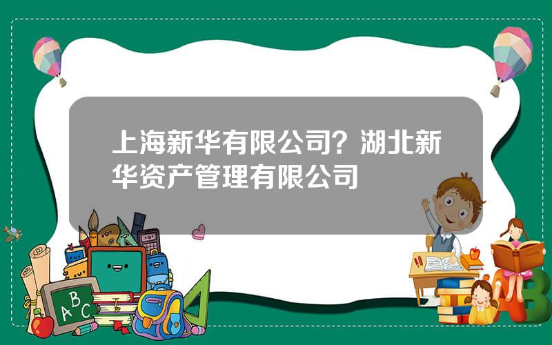 上海新华有限公司？湖北新华资产管理有限公司