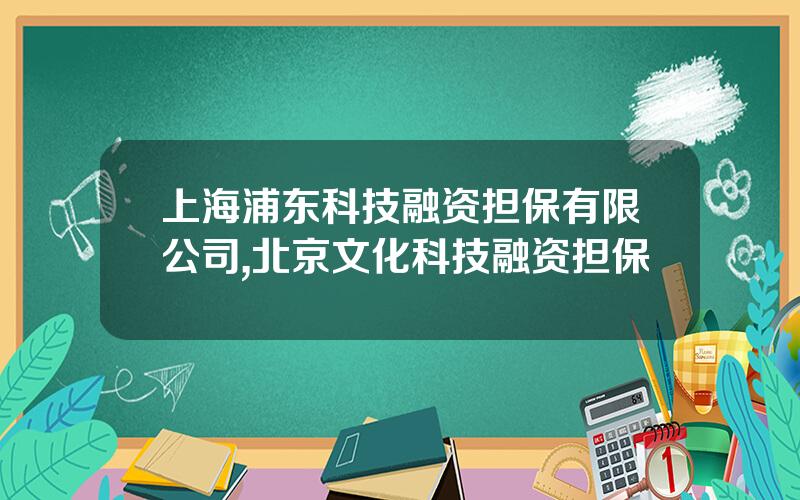 上海浦东科技融资担保有限公司,北京文化科技融资担保