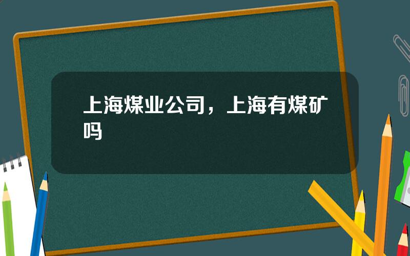 上海煤业公司，上海有煤矿吗