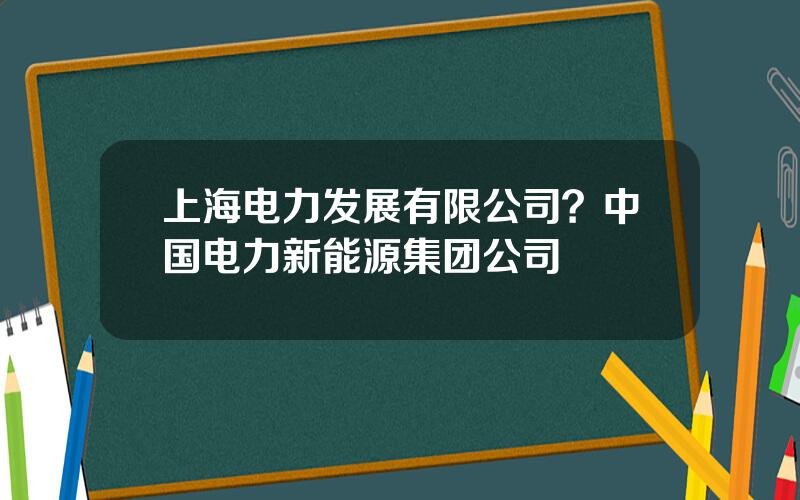 上海电力发展有限公司？中国电力新能源集团公司