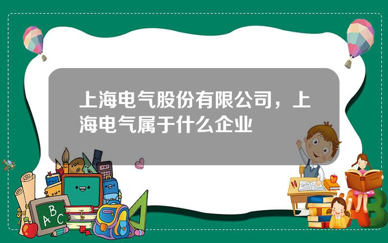上海电气股份有限公司，上海电气属于什么企业