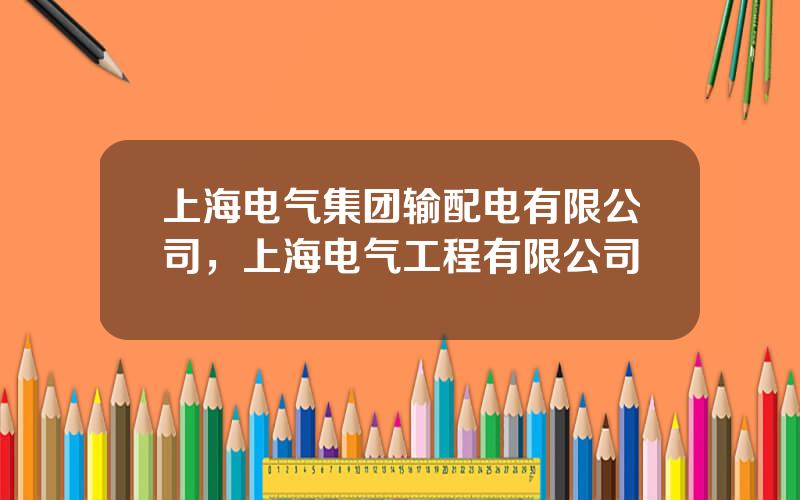 上海电气集团输配电有限公司，上海电气工程有限公司