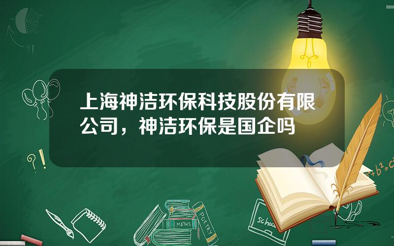 上海神洁环保科技股份有限公司，神洁环保是国企吗