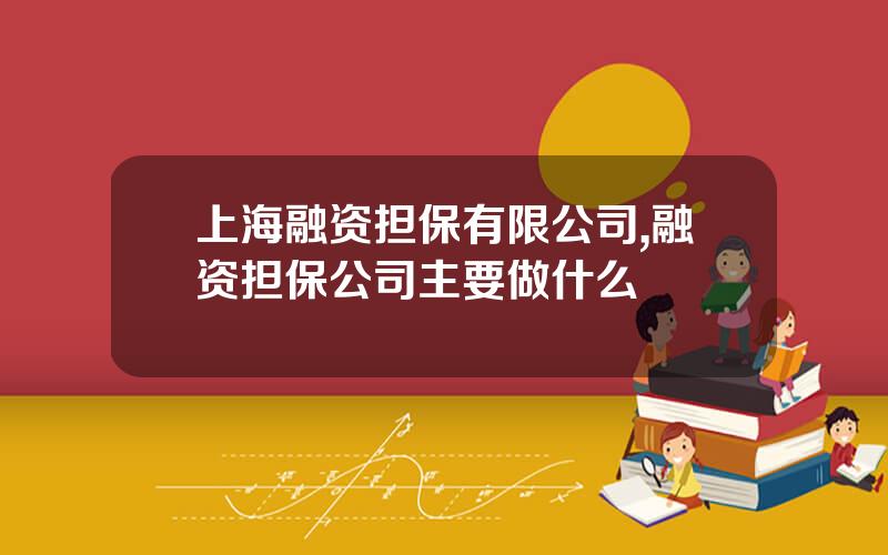上海融资担保有限公司,融资担保公司主要做什么