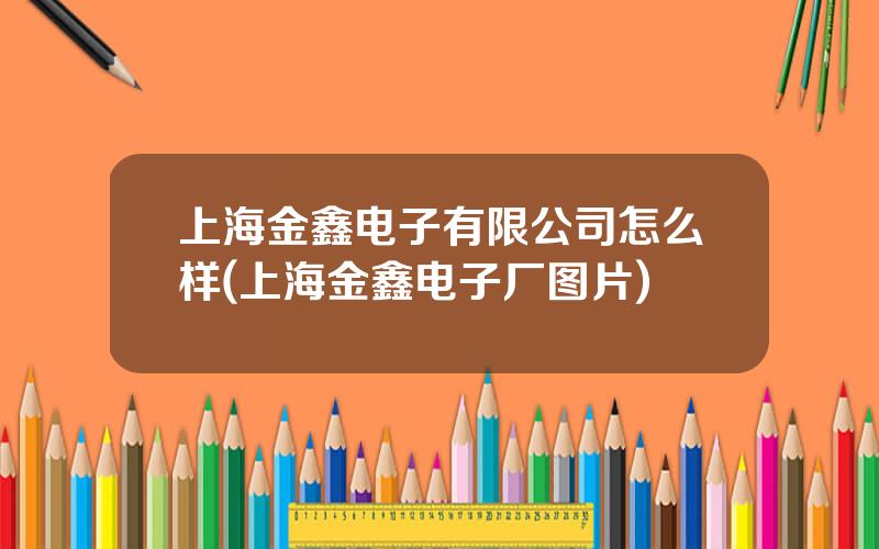 上海金鑫电子有限公司怎么样(上海金鑫电子厂图片)