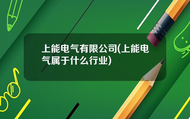 上能电气有限公司(上能电气属于什么行业)