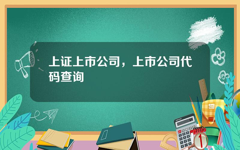 上证上市公司，上市公司代码查询