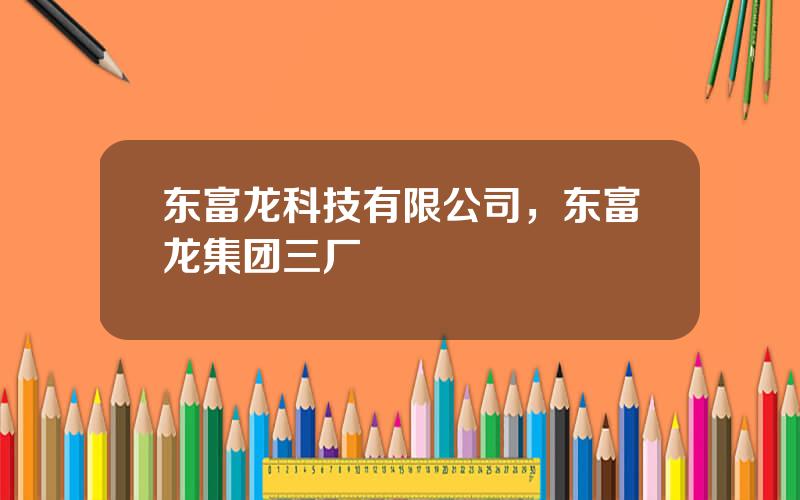 东富龙科技有限公司，东富龙集团三厂