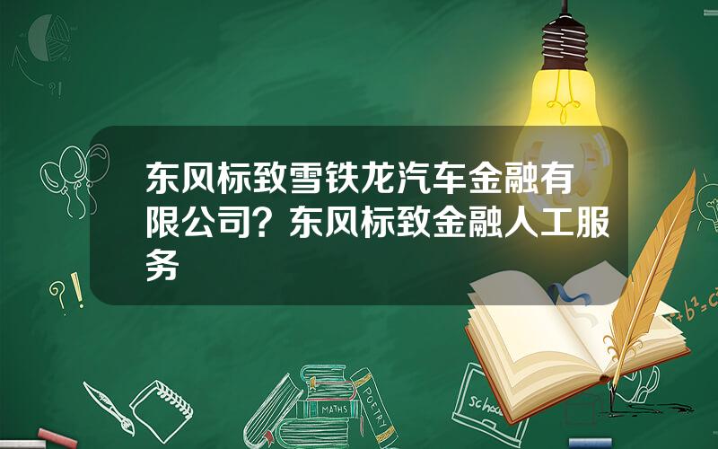 东风标致雪铁龙汽车金融有限公司？东风标致金融人工服务