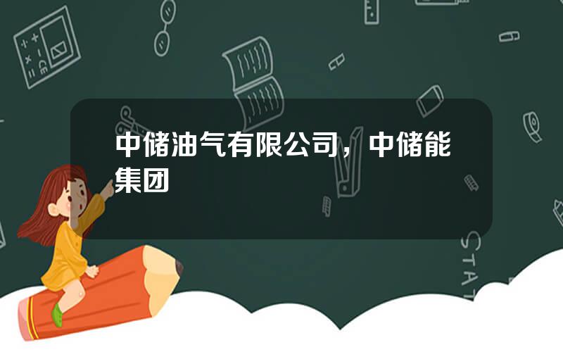 中储油气有限公司，中储能集团